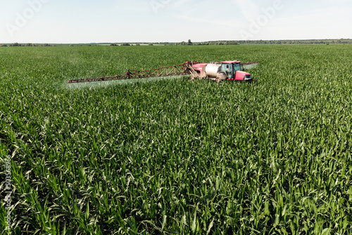 Self-propelled sprayer sprays green corn with pesticides on a photo field from a drone. The tractor sprays the grass with pesticides.