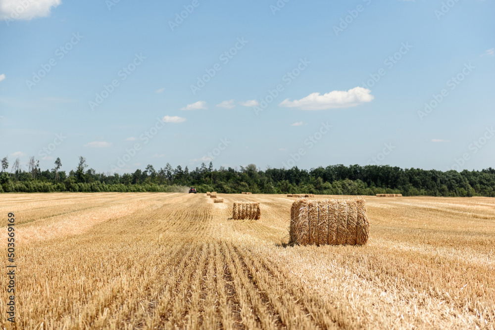 Straw bales on the field on the background of tractors