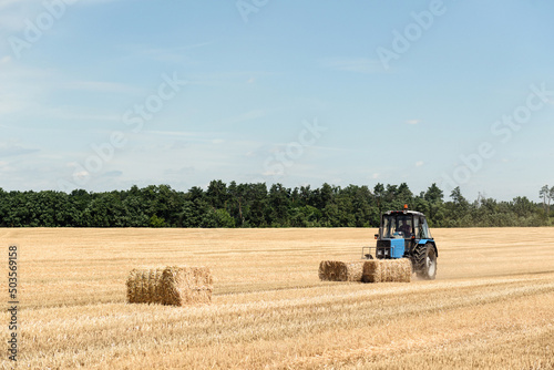 The tractor collects bales in the collected field. Blue tractor collects straw on a background of forest and sky.
