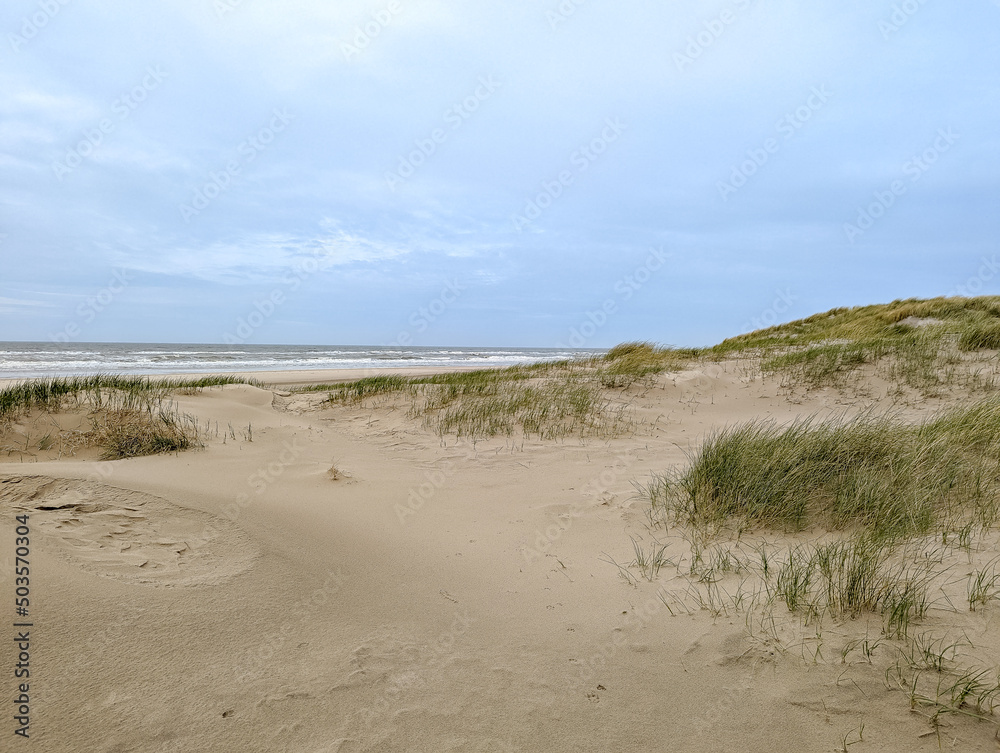 Schoorlse Duinen At the North Sea in North Holland