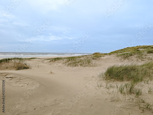 Schoorlse Duinen At the North Sea in North Holland