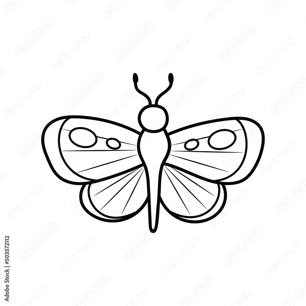 butterfly in doodle style, contour illustration of an insect , vector lineart of a moth butterfly in doodle style, contour illustration of an insect , vector lineart of a moth