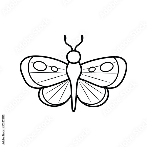 butterfly in doodle style, contour illustration of an insect , vector lineart of a moth