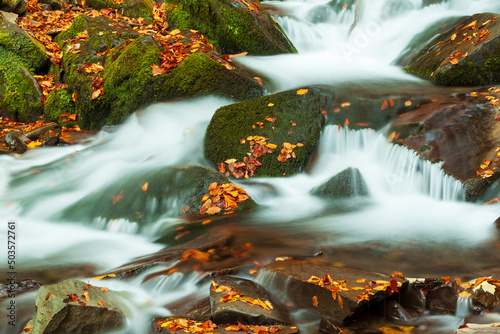 Ukpaine. Waterfall among the mossy rocks. Beautiful landscape rapids on a mountains river in autumn forest in carpathian mountains at sunset. Silver stream in National park Shypit Carpat. Pilipets. photo