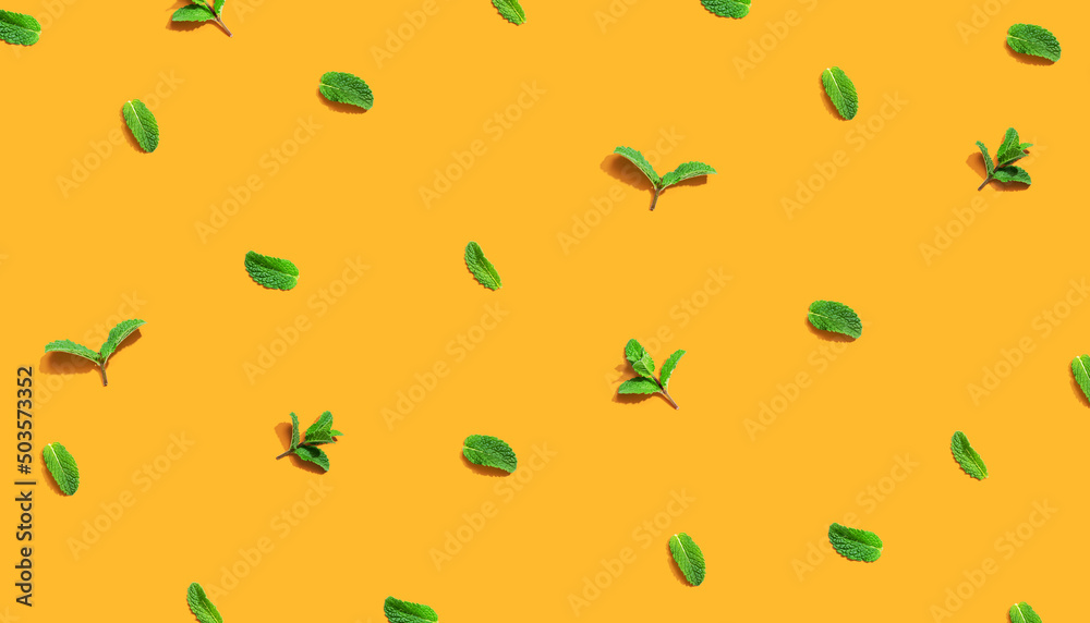 Fresh mint leaves overhead view - flat lay