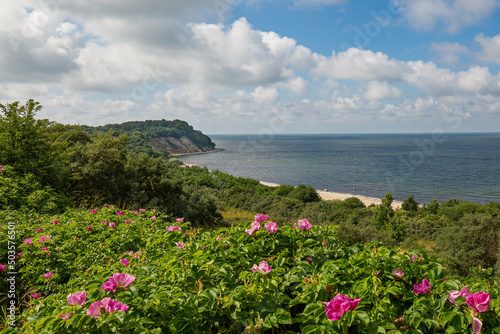 Fototapeta Naklejka Na Ścianę i Meble -  Kalilingrad region. View of Filinskaya Bay, Baltic Sea