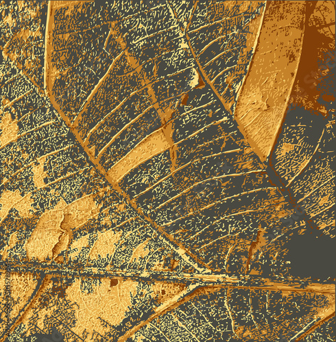 Dirty Dry Leaf Texture Background 