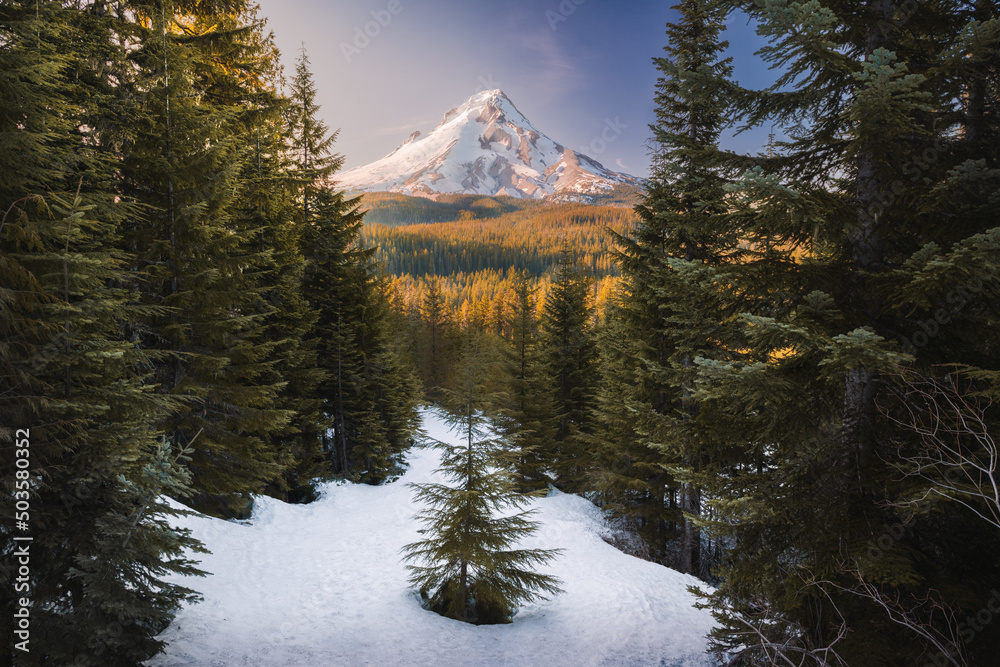 winter in the mountains overlooking mount hood at sunset
