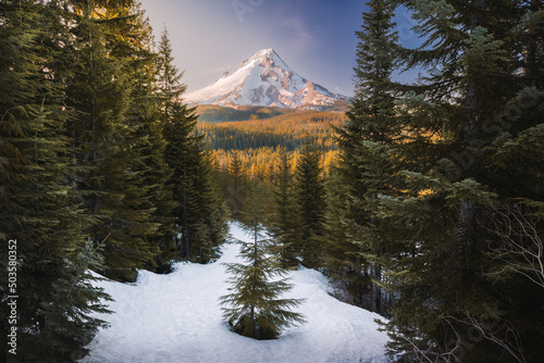 winter in the mountains overlooking mount hood at sunset photo