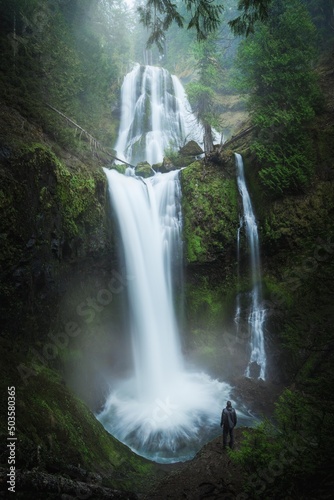Fototapeta Naklejka Na Ścianę i Meble -  man looking at a falls creek falls waterfall in the forest greens with rocks