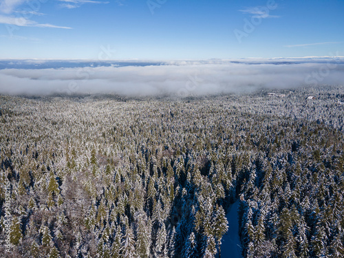 Aerial winter view of Rila Mountain near resort of Borovets, Bulgaria photo