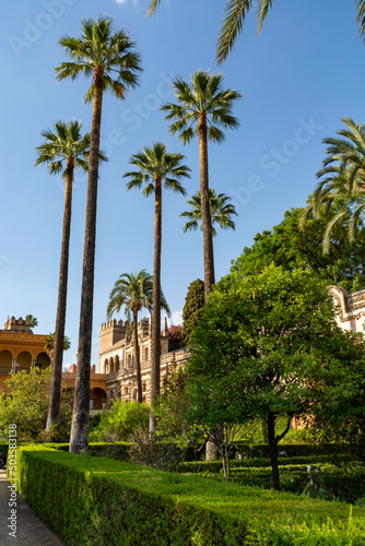 Royal palace green gardens in Mudejar style. Old historical Andalusian town Seville  Spain.