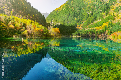 Five Flower Lake at autumn time. Jiuzhaigou nature reserve. Jiuzhai Valley National Park.