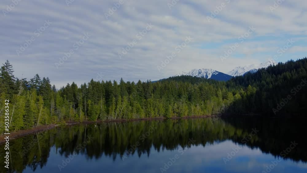 View from the drone on the sunny coniferous shore of the lake in a cloud day View from the drone on the sunny coniferous shore of the lake in a cloud day