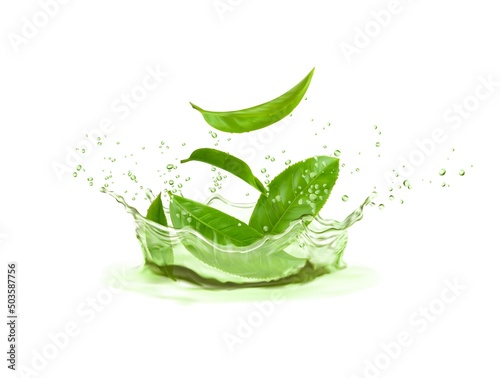 Herbal tea crown splash with green tea leaves and water drops, realistic vector. Fresh drink of hot tea or lemonade soda background with green leaf falling in water with splashing flow photo