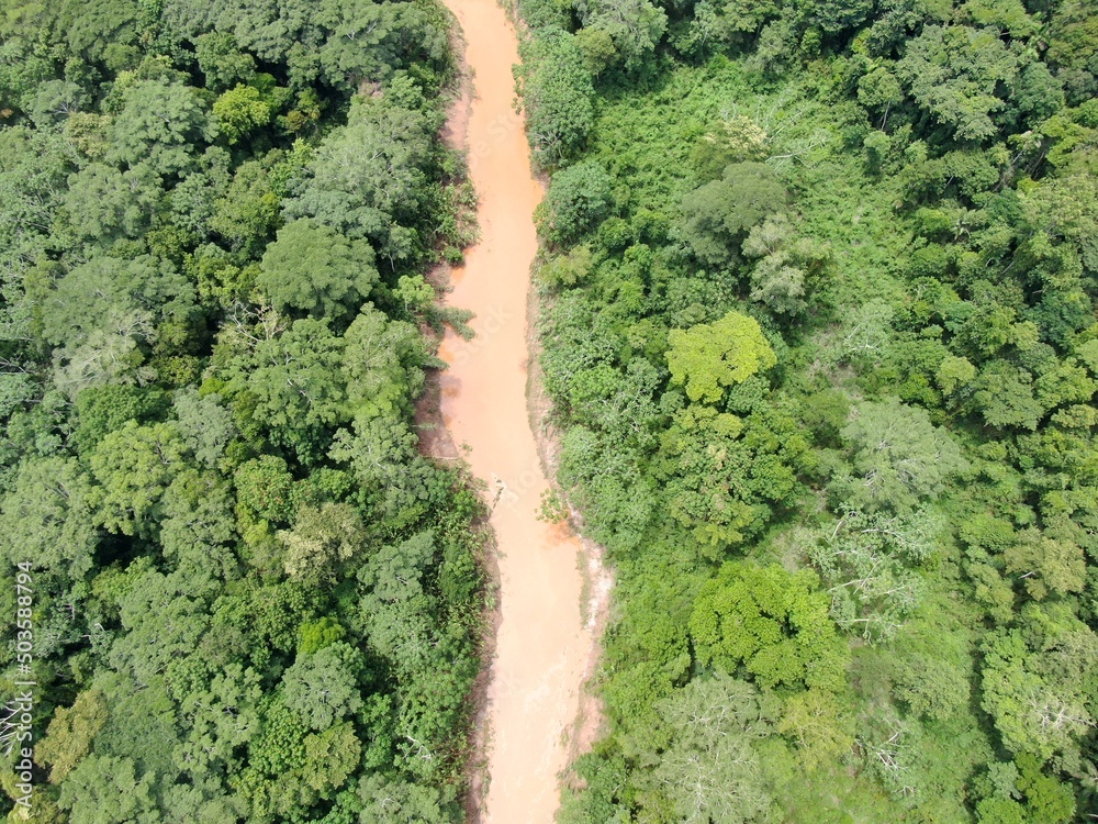 Aerial of river in amazon basin/ manu national park/ peru