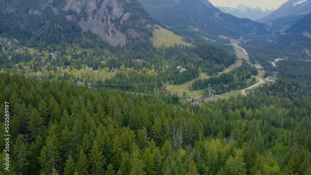 Top down view of the area covered with coniferous forest, roads and foot of the hills Top down view of the area covered with coniferous forest, roads and foot of the hills
