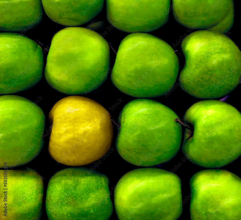 Photo has Green Apples with One Golden Apple, a Concept to display Individualism using Apples Photo has Green Apples with One Golden Apple, a Concept to display Individualism using Apples