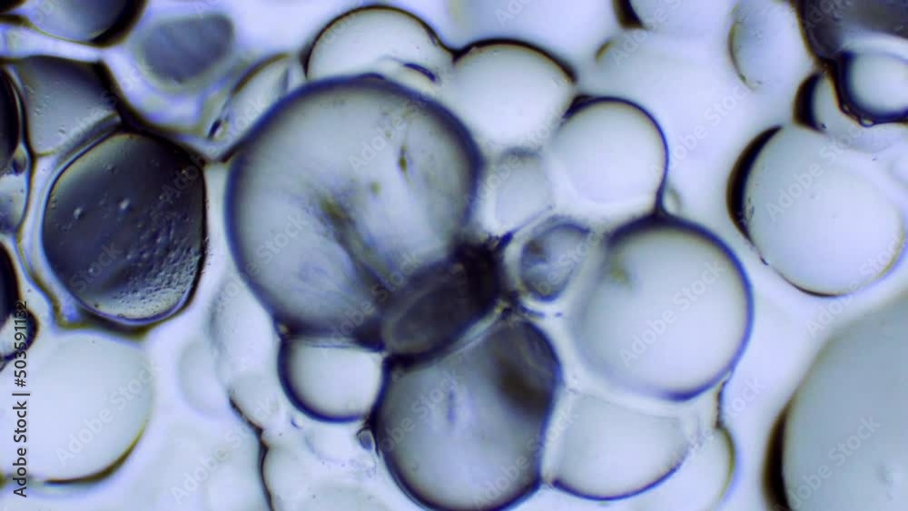 Salt Crystals Sodium polymer ion particles reaction to water under a microscope 3 shots