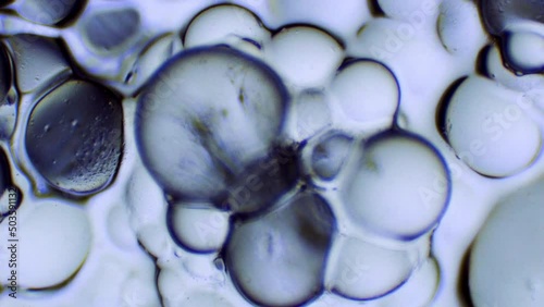 Salt Crystals Sodium polymer ion particles reaction to water under a microscope 3 shots