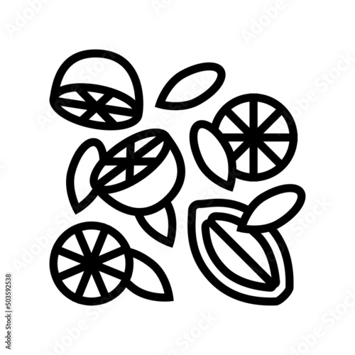 composition lemon line icon vector. composition lemon sign. isolated contour symbol black illustration