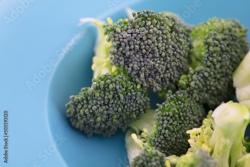 Fresh broccoli ingredients on a plate © zhenya
