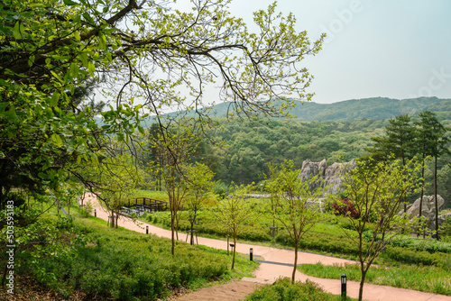 Chomakgol Eco Park green nature scenery in Gunpo, Korea