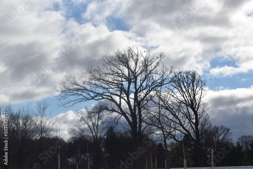 Winter Over Como Park in Minnesota