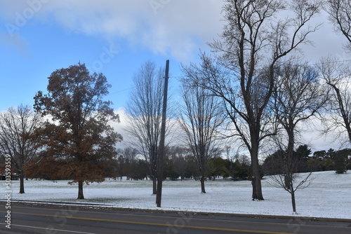 Winter Over Como Park in Minnesota