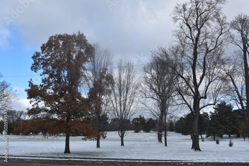Winter Over Como Park in Minnesota