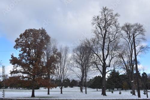 Winter Over Como Park in Minnesota