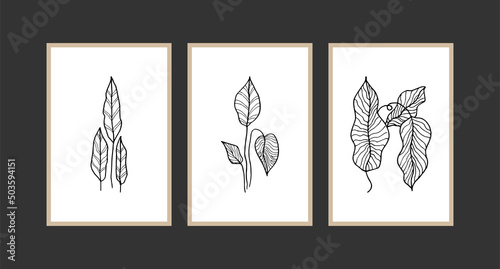 Modern boho abstract trendy background design. plant painting