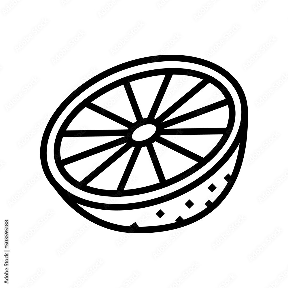 half lime line icon vector. half lime sign. isolated contour symbol black illustration