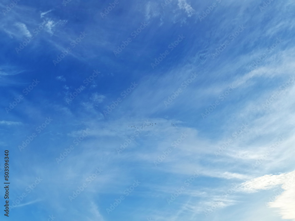 blue sky with clouds blue sky with clouds