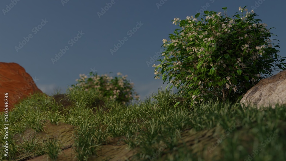 The bushes are blooming in the summer 3D rendering nature landscape wallpaper backgrounds