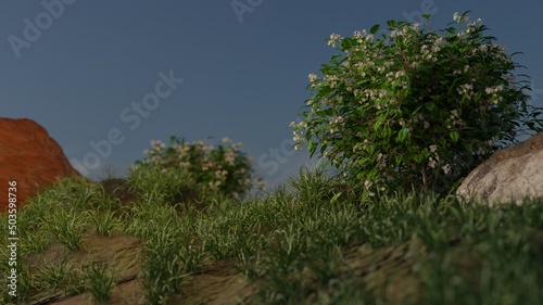 The bushes are blooming in the summer 3D rendering nature landscape wallpaper backgrounds