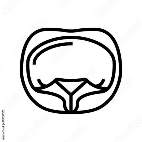 tortellini pasta line icon vector. tortellini pasta sign. isolated contour symbol black illustration
