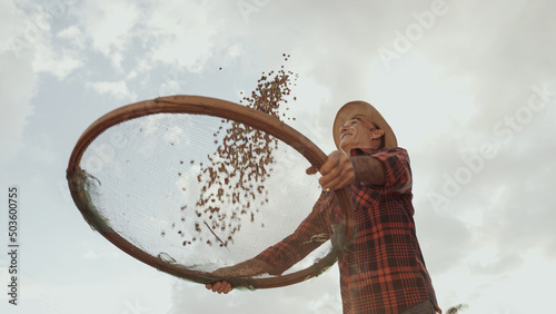 Canvas Print Latin farmer working in the coffee harvest on a sunny day in the field, sifting coffee beans