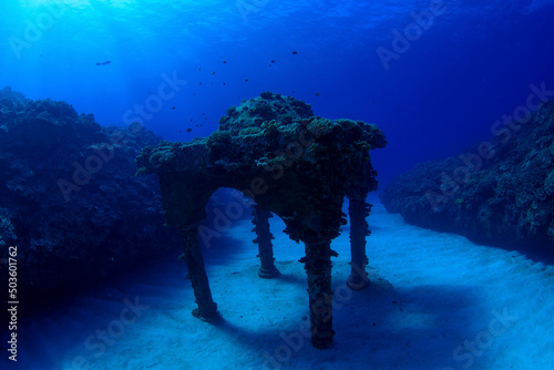 与論島の海中宮殿