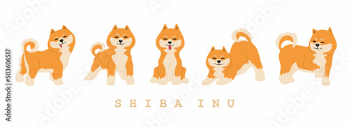 Set of cute shiba inu dogs in different poses. Funny japanese smiling animals. Hand drawn colored vector illustration isolated on white background. Modern trendy flat cartoon style.