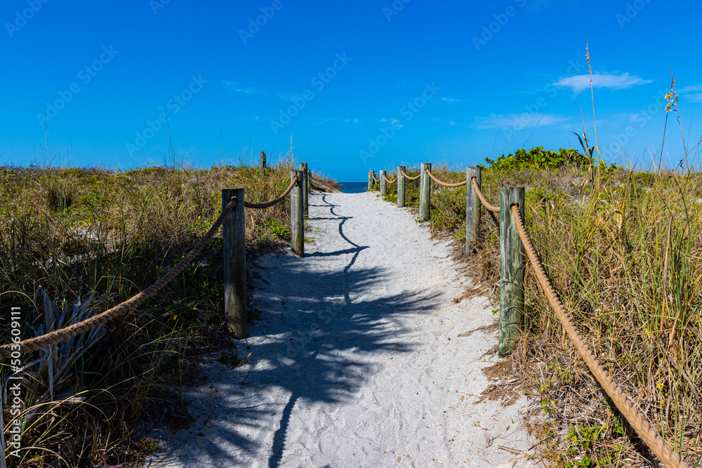 Trail Leading to the White Sand of Siesta Key Beach, Siesta Key, Florida, USA Trail Leading to the White Sand of Siesta Key Beach, Siesta Key, Florida, USA