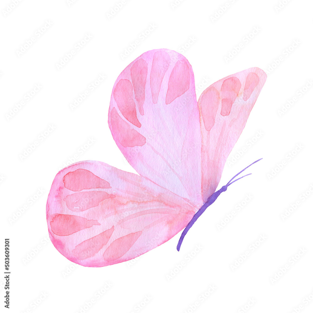 Watercolor flying butterfly isolated on white background. Pink hand ...