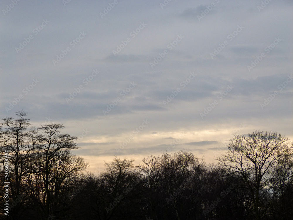 Sunset with trees and clouds Sunset with trees and clouds