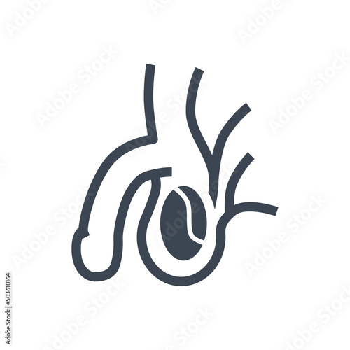 Male Reproductive System Vector Glyph Icons