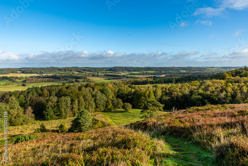 Beautiful view of trees on Gudena valley in Denmark, Busbjerg photo