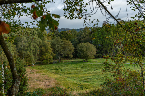 Beautiful view of trees on Gudena valley in Denmark, Busbjerg photo