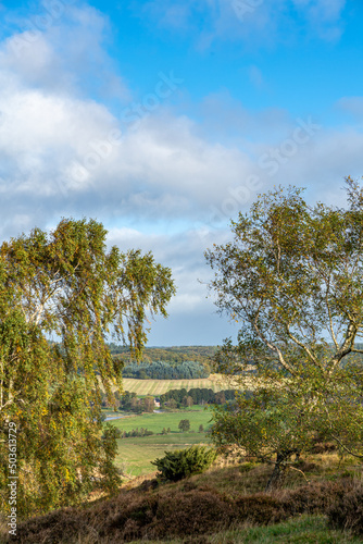 Vertical shot of the Gudena valley view on a sunny day in Busbjerg, Denmark photo