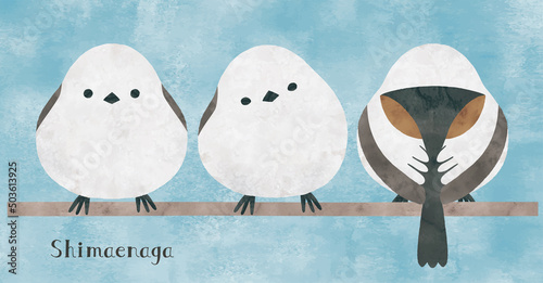 シマエナガ水彩画