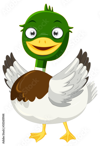 Cute mallard duck cartoon character