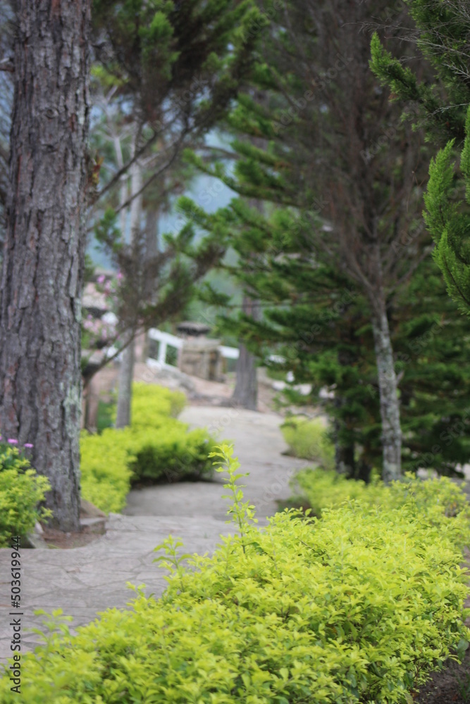 Naklejka premium path in the park